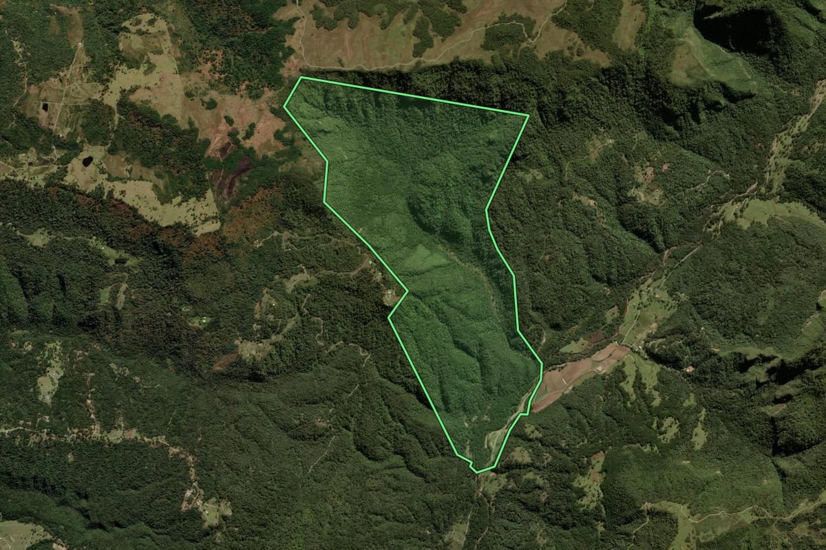 Imagem de satélite do imóvel rural em Urubici (SC), com o contorno declarado no CAR desenhado por cima.