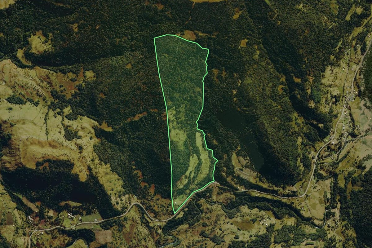 Imagem de satélite do imóvel rural em Urubici (SC), com o contorno declarado no CAR desenhado por cima.