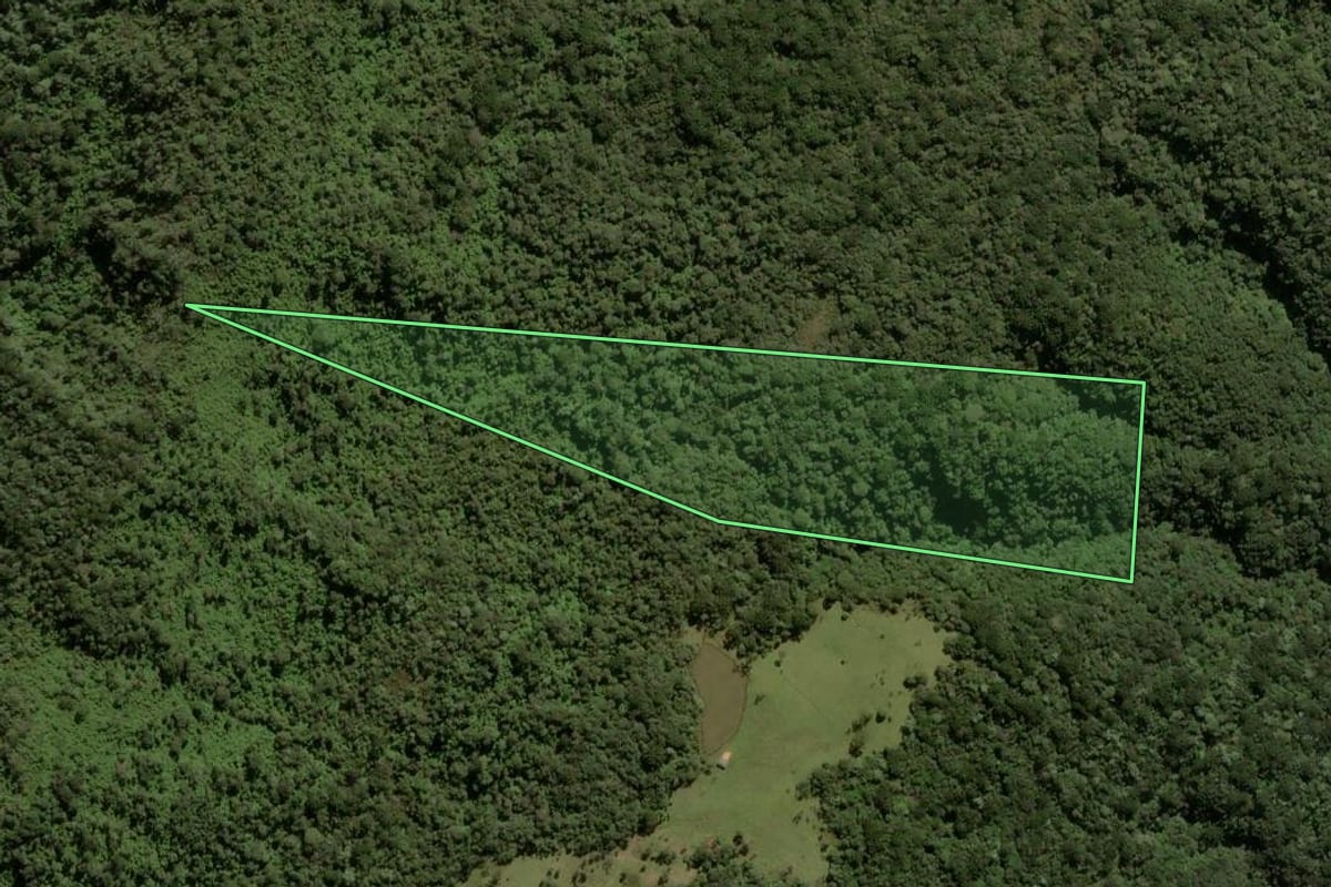 Imagem de satélite do imóvel rural em Urubici (SC), com o contorno declarado no CAR desenhado por cima.