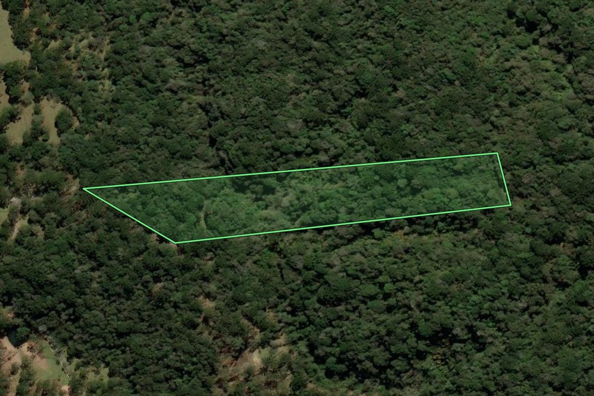 Imagem de satélite do imóvel rural em Urubici (SC), com o contorno declarado no CAR desenhado por cima.