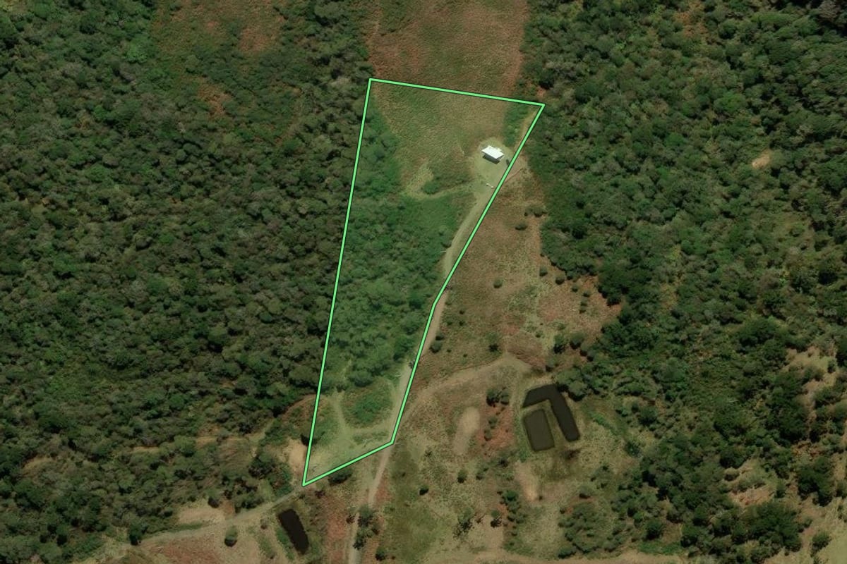 Imagem de satélite do imóvel rural em Urubici (SC), com o contorno declarado no CAR desenhado por cima.
