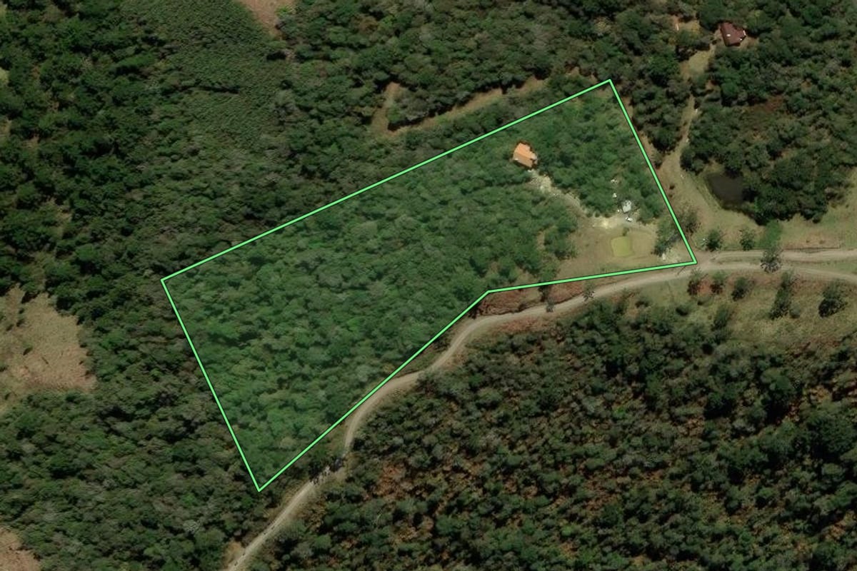 Imagem de satélite do imóvel rural em Urubici (SC), com o contorno declarado no CAR desenhado por cima.