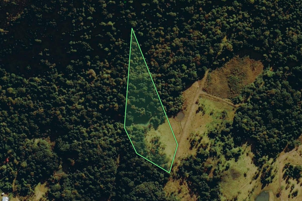 Imagem de satélite do imóvel rural em Urubici (SC), com o contorno declarado no CAR desenhado por cima.