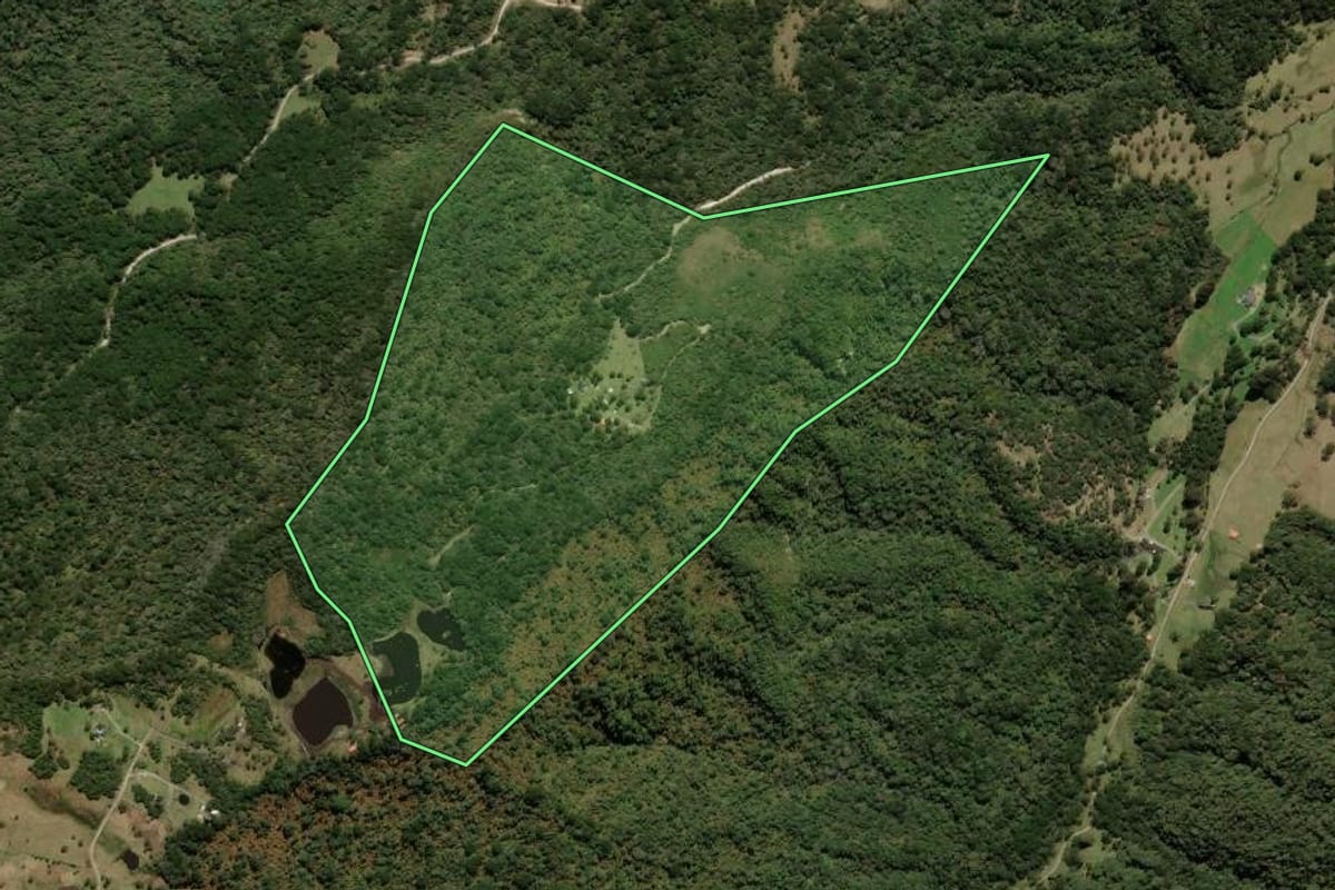 Imagem de satélite do imóvel rural em Urubici (SC), com o contorno declarado no CAR desenhado por cima.