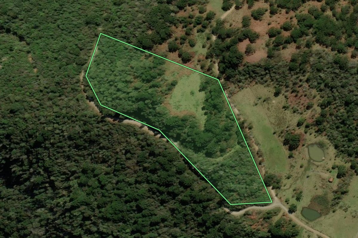 Imagem de satélite do imóvel rural em Urubici (SC), com o contorno declarado no CAR desenhado por cima.