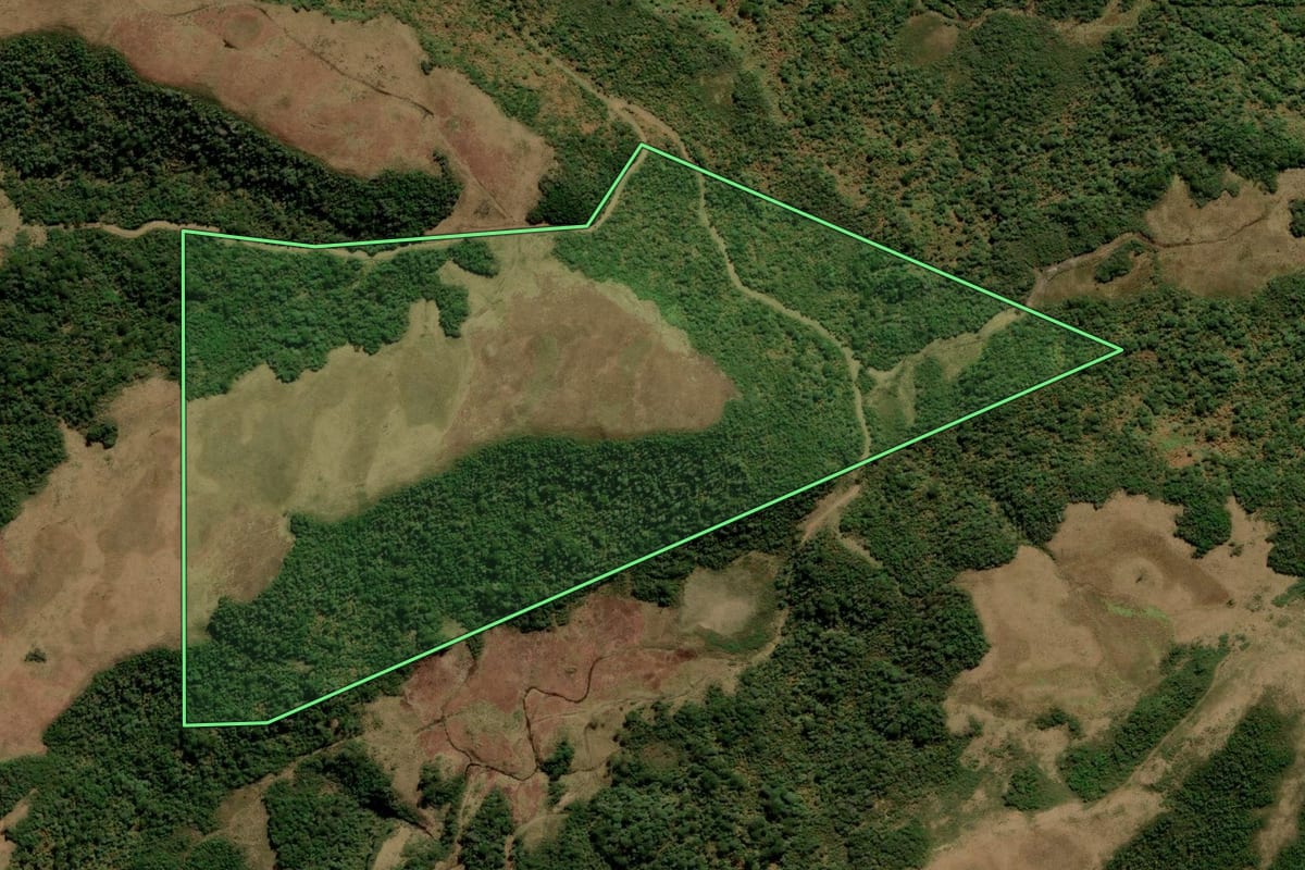 Imagem de satélite do imóvel rural em Urubici (SC), com o contorno declarado no CAR desenhado por cima.