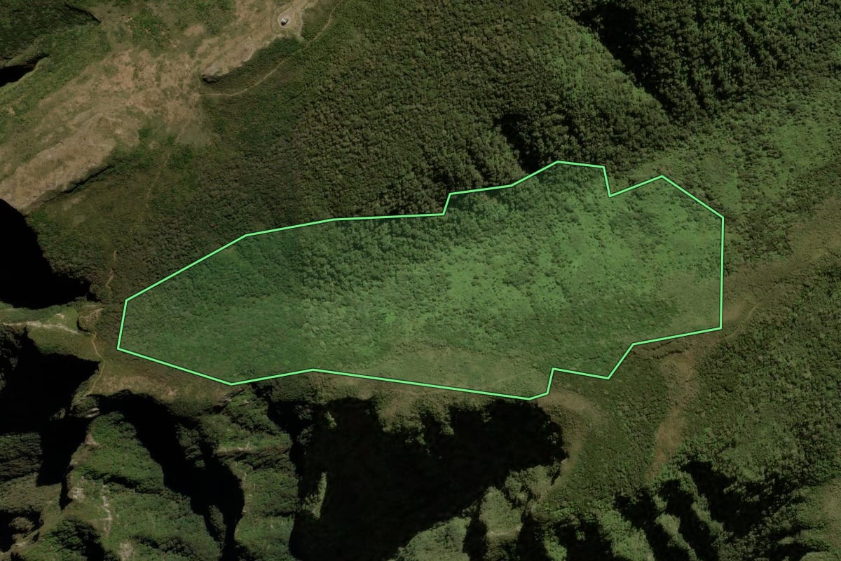Imagem de satélite do imóvel rural em Urubici (SC), com o contorno declarado no CAR desenhado por cima.