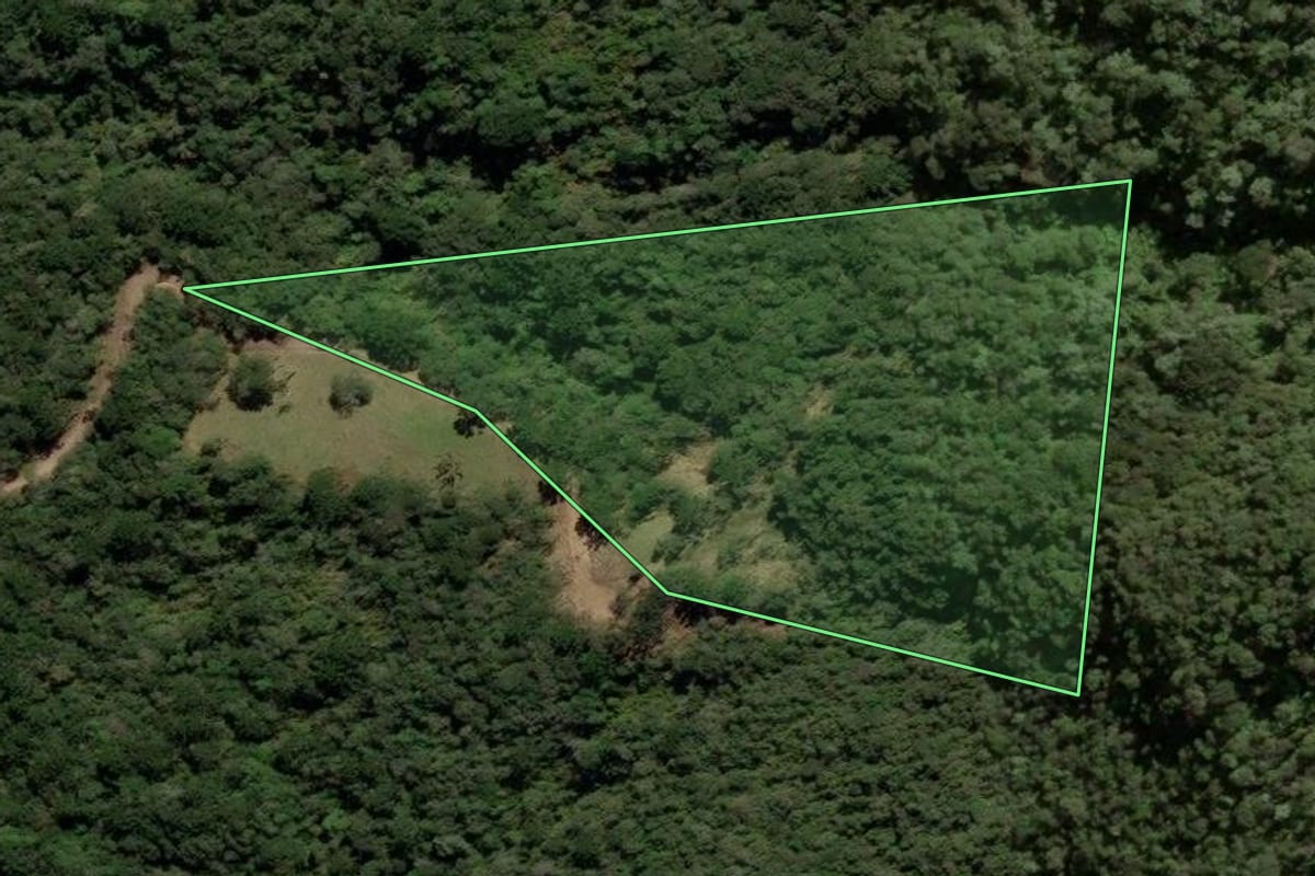 Imagem de satélite do imóvel rural em Urubici (SC), com o contorno declarado no CAR desenhado por cima.