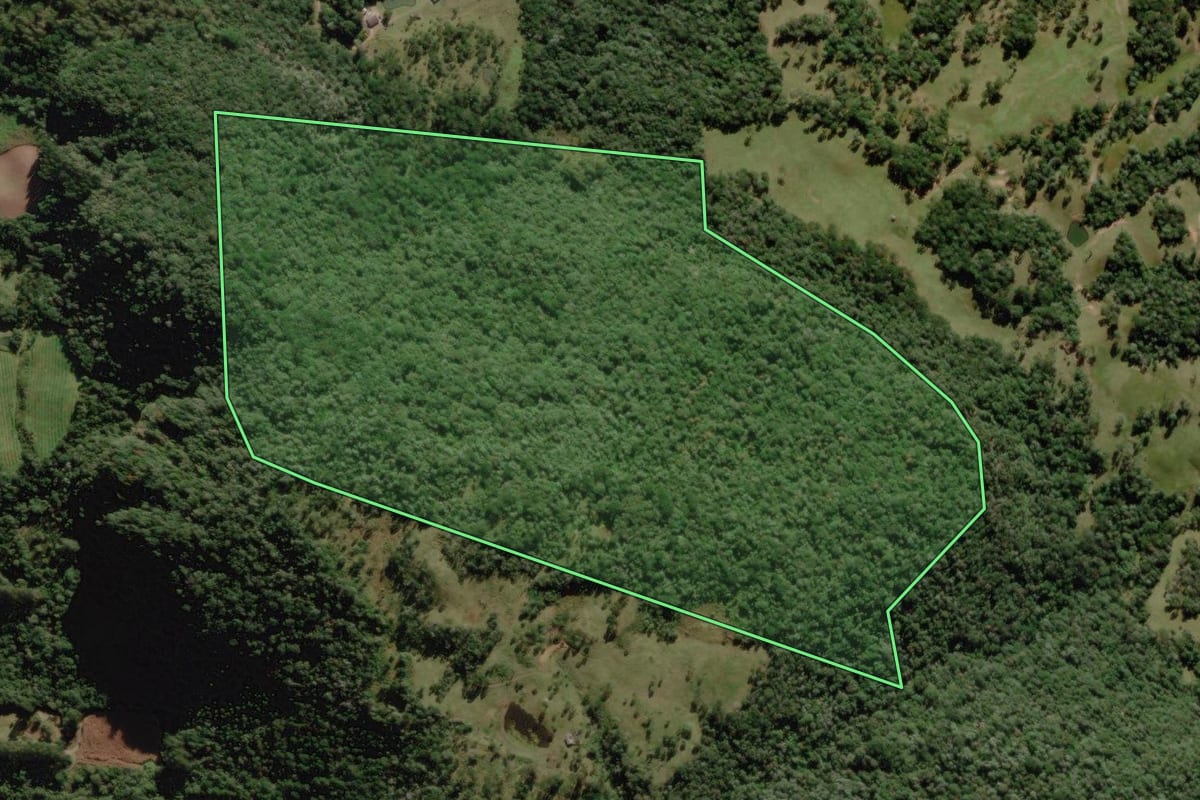 Imagem de satélite do imóvel rural em Urubici (SC), com o contorno declarado no CAR desenhado por cima.