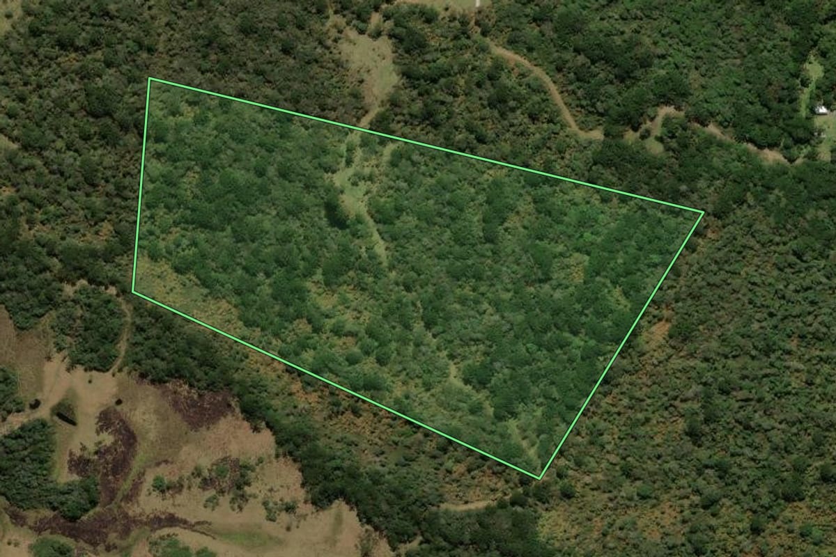 Imagem de satélite do imóvel rural em Urubici (SC), com o contorno declarado no CAR desenhado por cima.