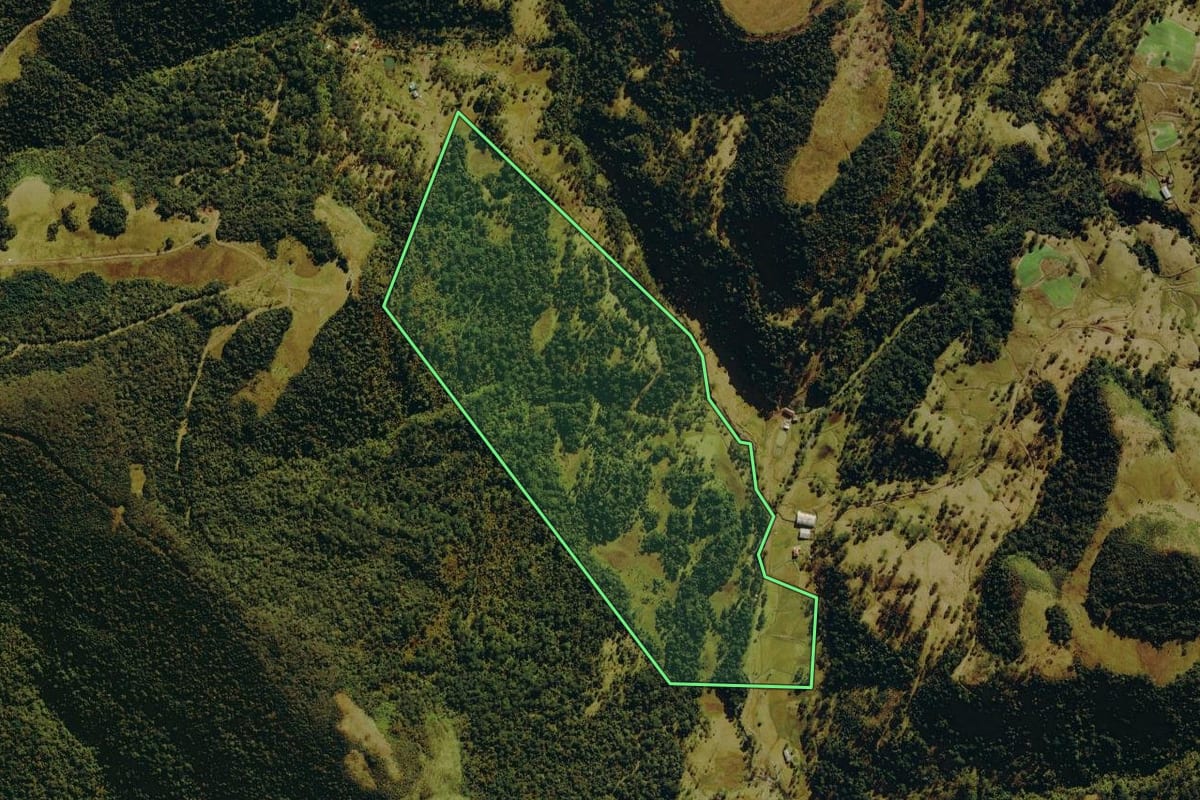 Imagem de satélite do imóvel rural em Urubici (SC), com o contorno declarado no CAR desenhado por cima.