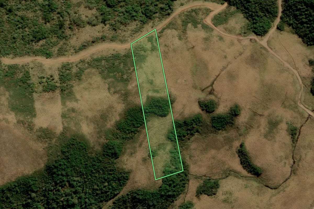 Imagem de satélite do imóvel rural em Urubici (SC), com o contorno declarado no CAR desenhado por cima.