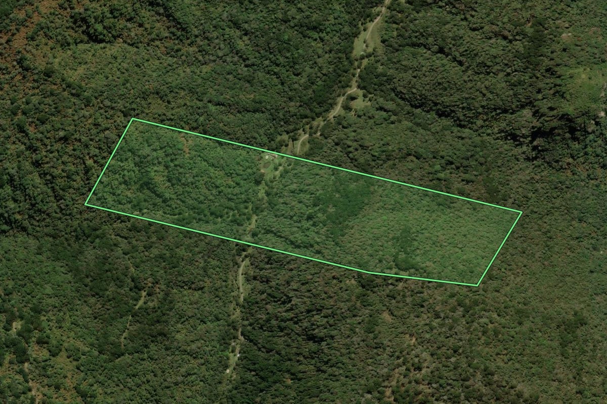 Imagem de satélite do imóvel rural em Urubici (SC), com o contorno declarado no CAR desenhado por cima.