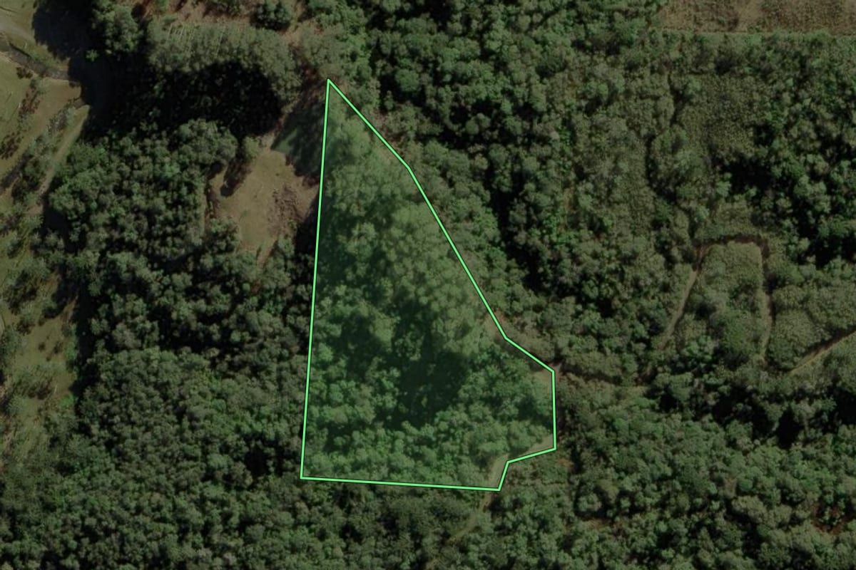 Imagem de satélite do imóvel rural em Urubici (SC), com o contorno declarado no CAR desenhado por cima.