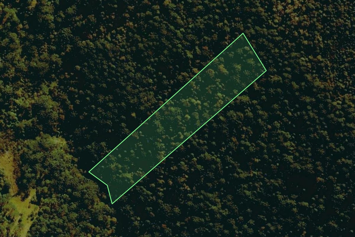 Imagem de satélite do imóvel rural em Urubici (SC), com o contorno declarado no CAR desenhado por cima.