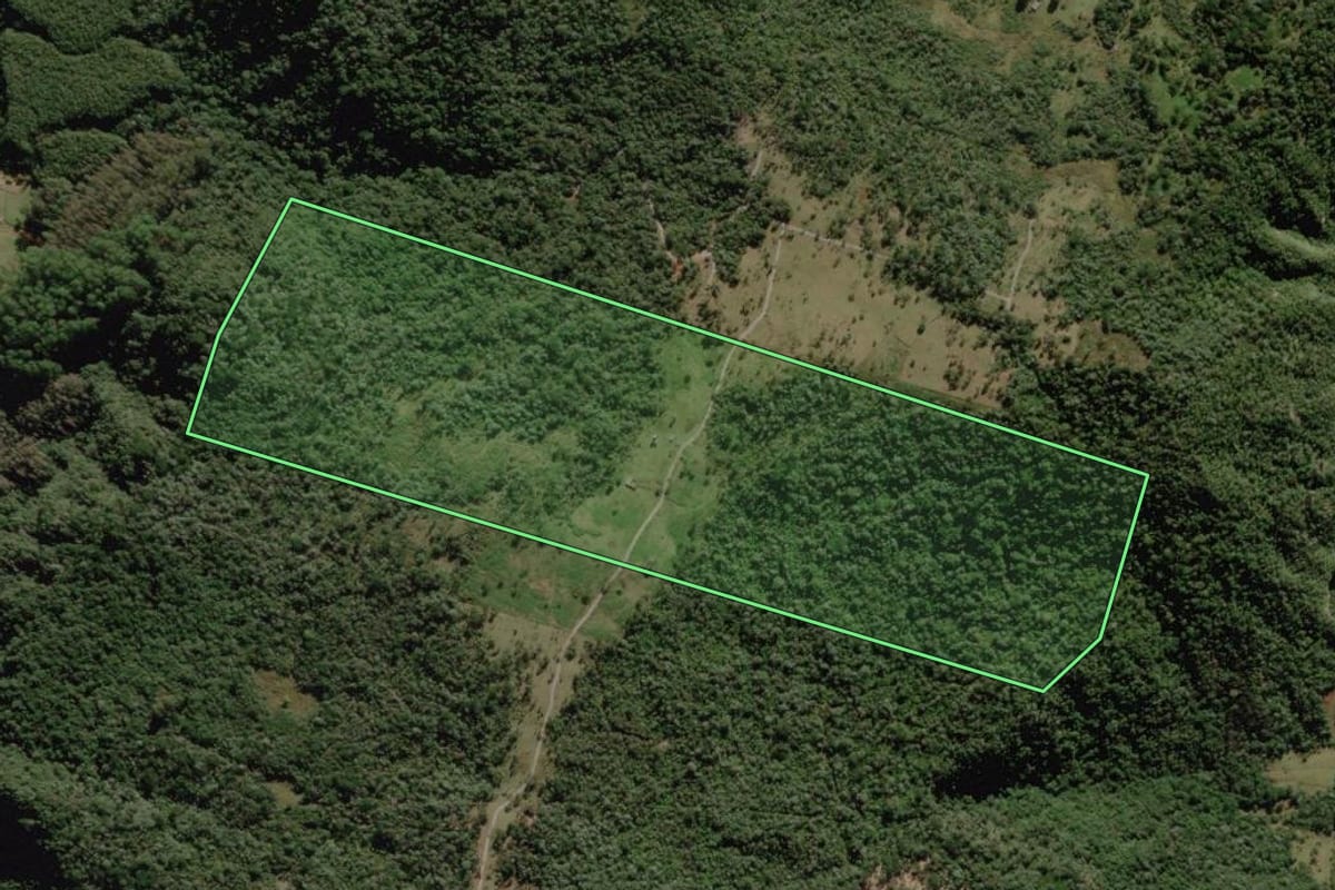Imagem de satélite do imóvel rural em Urubici (SC), com o contorno declarado no CAR desenhado por cima.