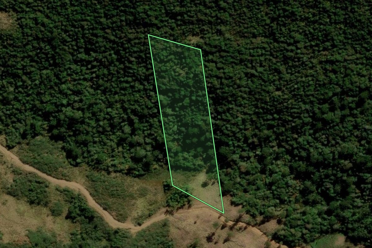 Imagem de satélite do imóvel rural em Urubici (SC), com o contorno declarado no CAR desenhado por cima.