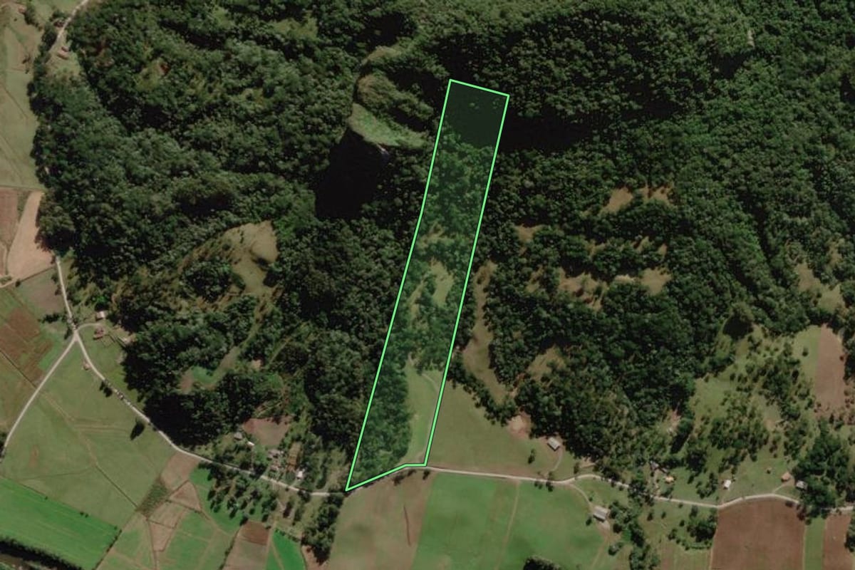 Imagem de satélite do imóvel rural em Urubici (SC), com o contorno declarado no CAR desenhado por cima.