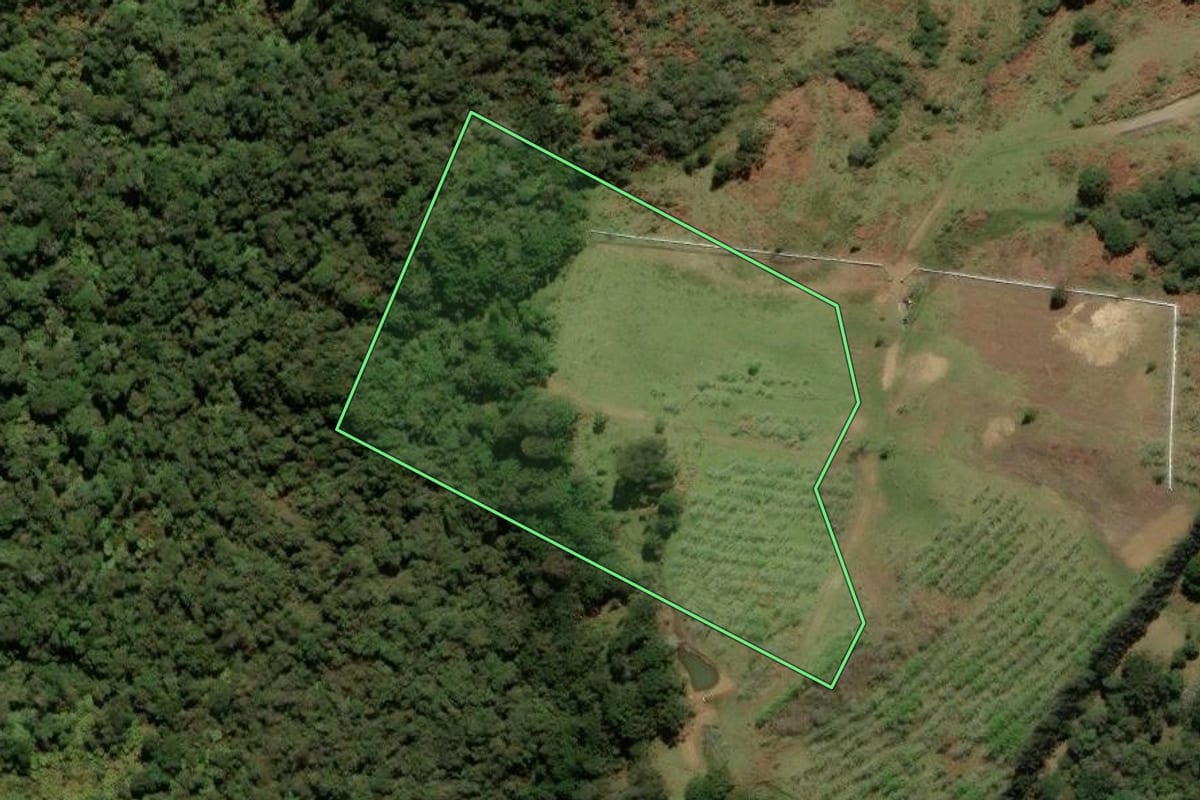 Imagem de satélite do imóvel rural em Urubici (SC), com o contorno declarado no CAR desenhado por cima.