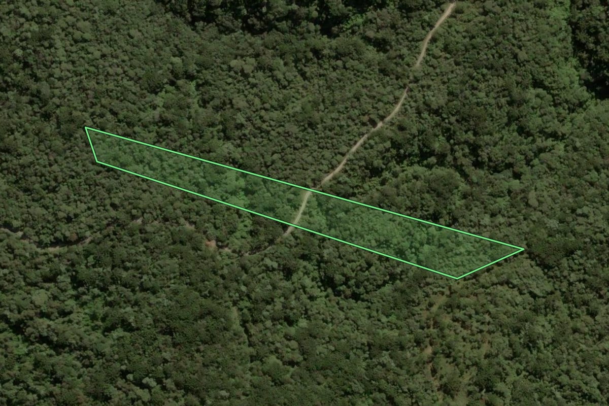 Imagem de satélite do imóvel rural em Urubici (SC), com o contorno declarado no CAR desenhado por cima.