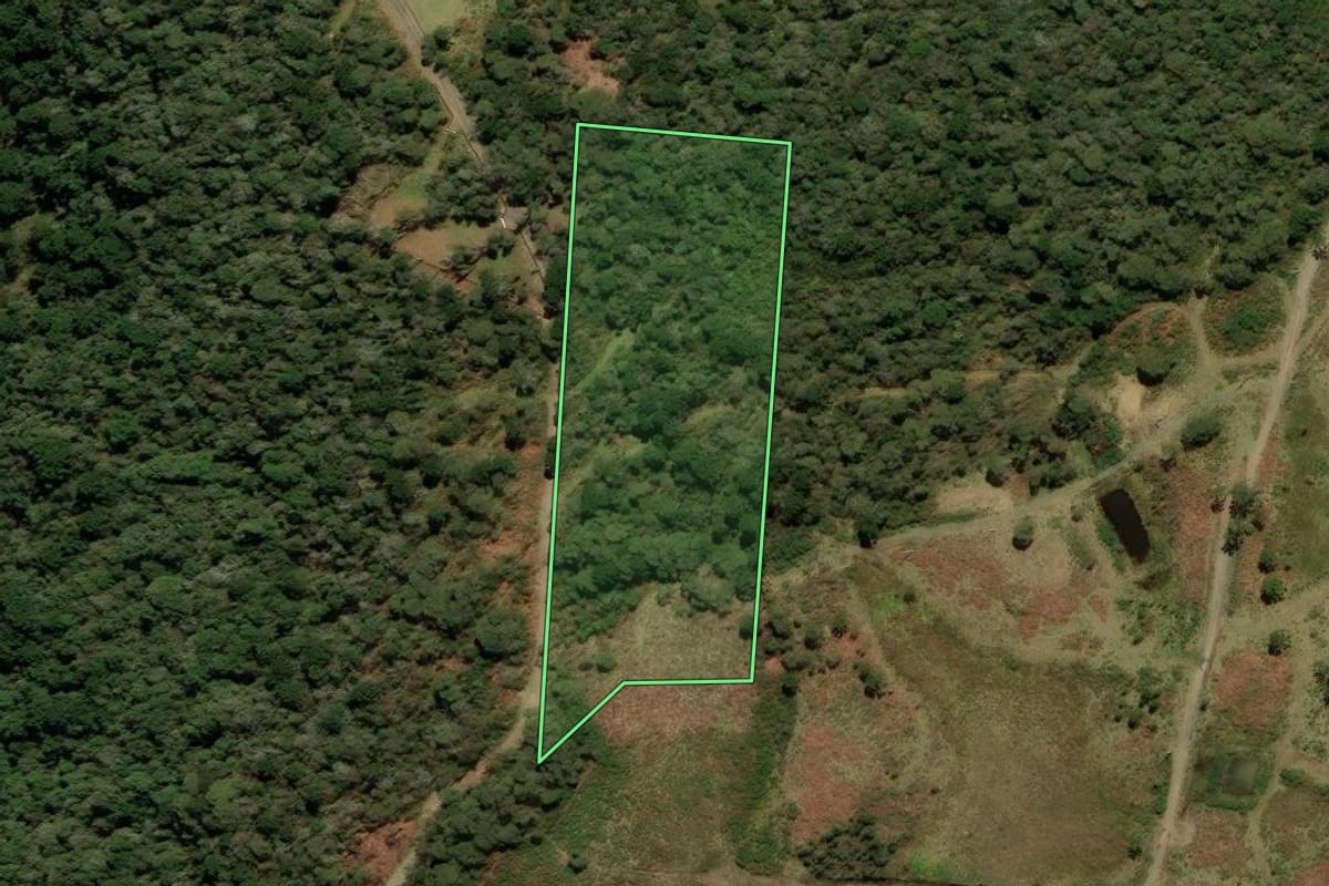 Imagem de satélite do imóvel rural em Urubici (SC), com o contorno declarado no CAR desenhado por cima.