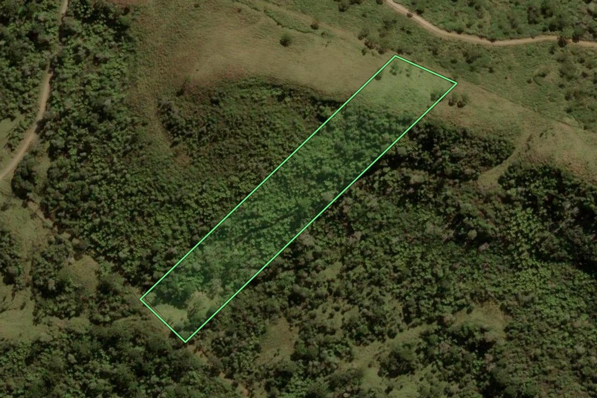 Imagem de satélite do imóvel rural em Urubici (SC), com o contorno declarado no CAR desenhado por cima.