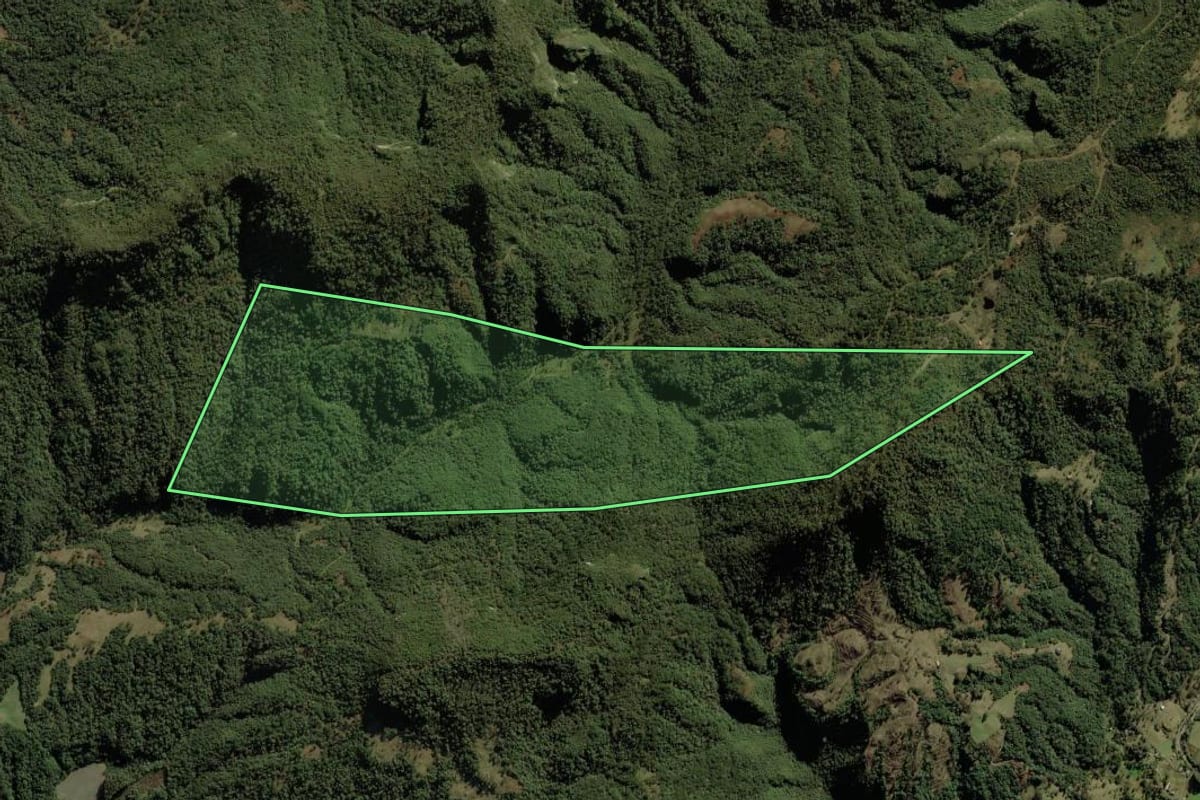Imagem de satélite do imóvel rural em Urubici (SC), com o contorno declarado no CAR desenhado por cima.