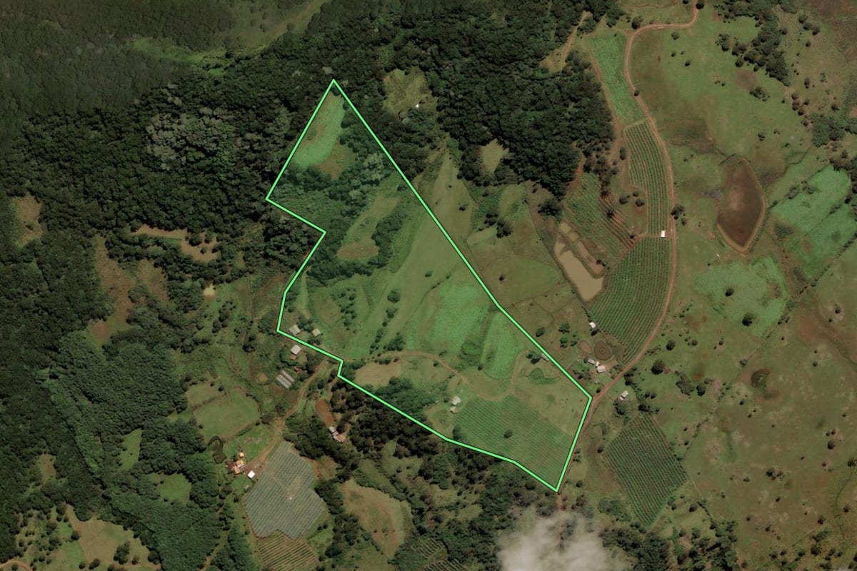 Imagem de satélite do imóvel rural em Urupema (SC), com o contorno declarado no CAR desenhado por cima.