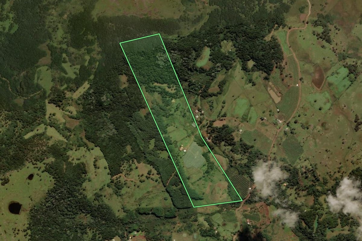 Imagem de satélite do imóvel rural em Urupema (SC), com o contorno declarado no CAR desenhado por cima.