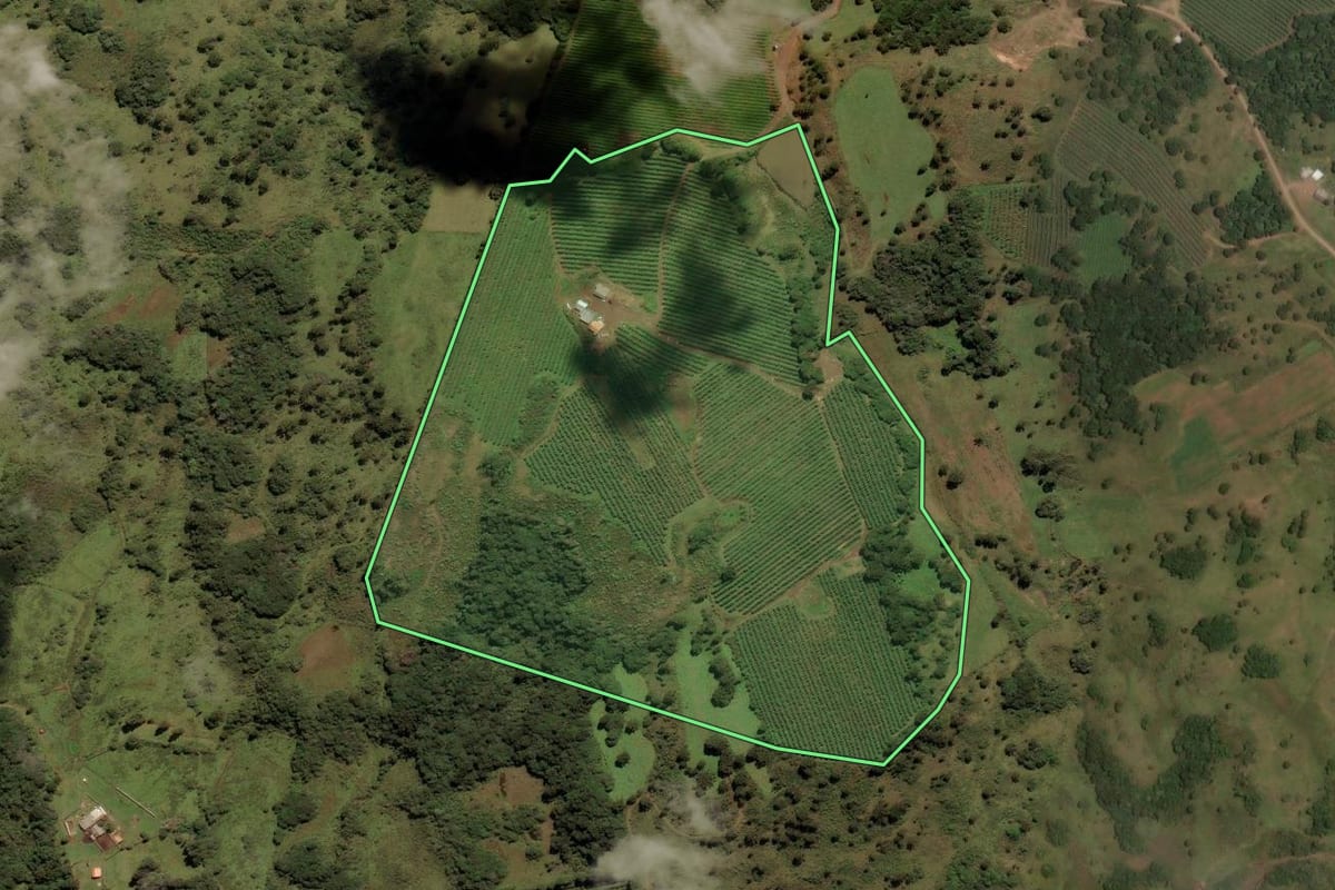 Imagem de satélite do imóvel rural em Urupema (SC), com o contorno declarado no CAR desenhado por cima.