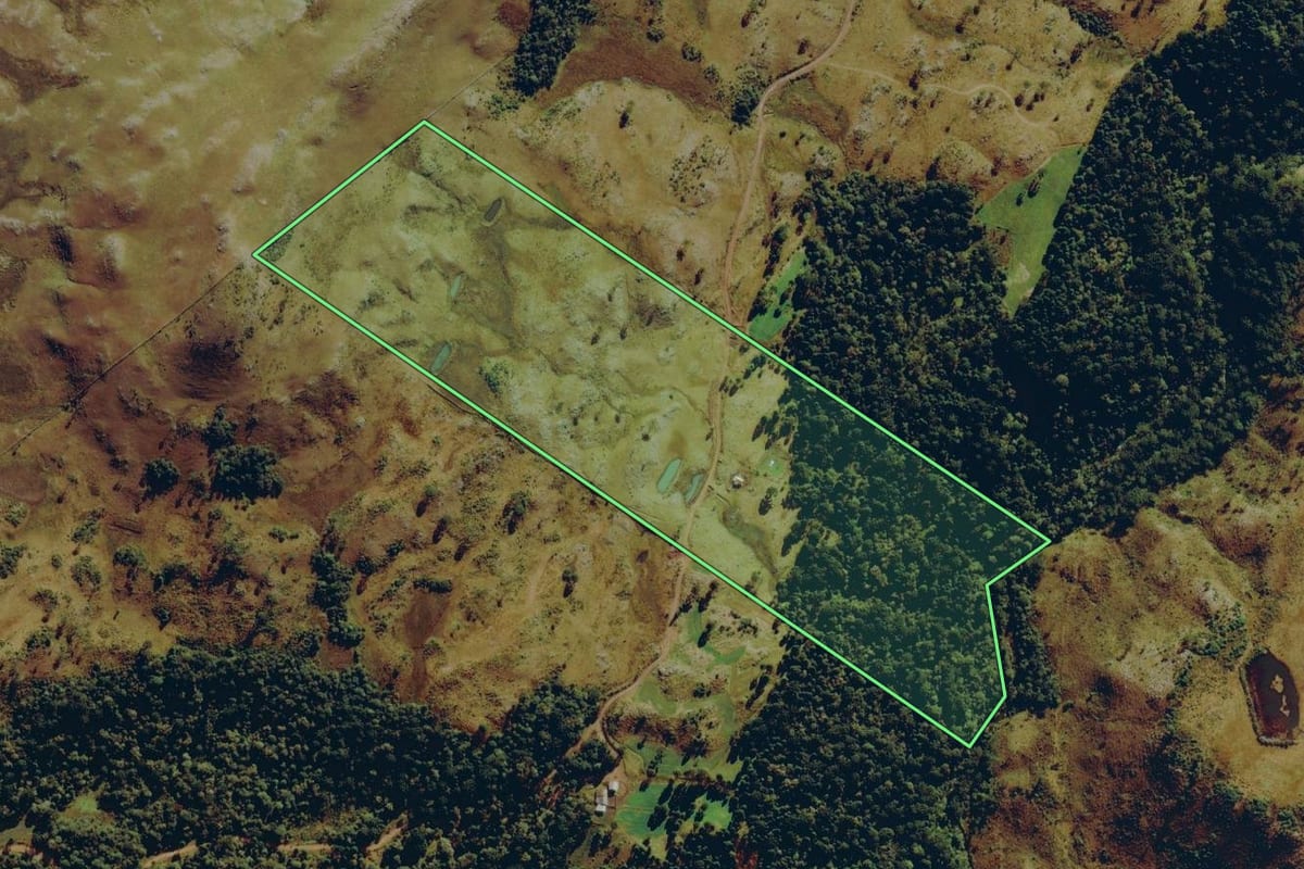 Imagem de satélite do imóvel rural em Urupema (SC), com o contorno declarado no CAR desenhado por cima.