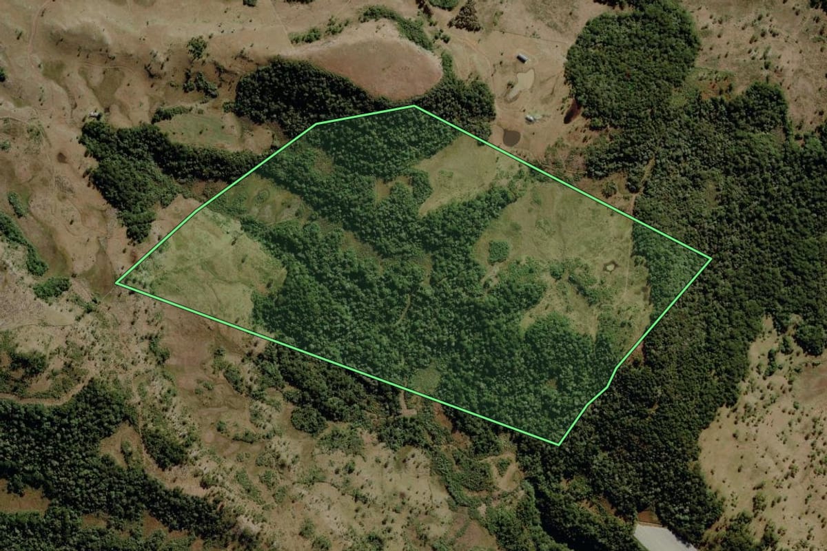 Imagem de satélite do imóvel rural em Urupema (SC), com o contorno declarado no CAR desenhado por cima.