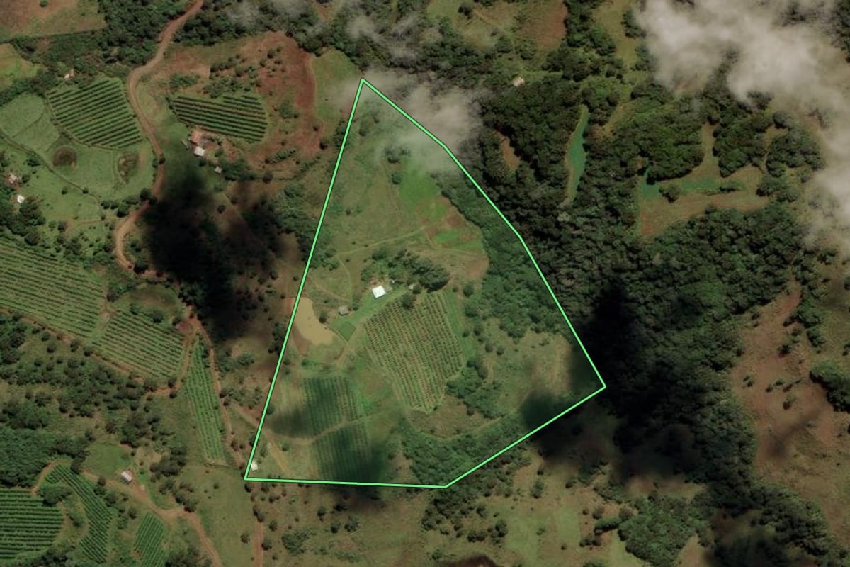 Imagem de satélite do imóvel rural em Urupema (SC), com o contorno declarado no CAR desenhado por cima.