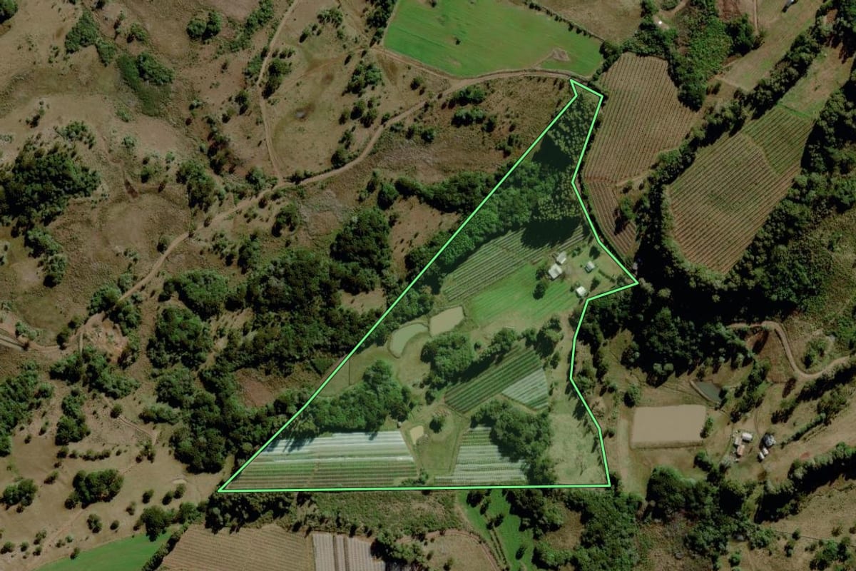 Imagem de satélite do imóvel rural em Urupema (SC), com o contorno declarado no CAR desenhado por cima.