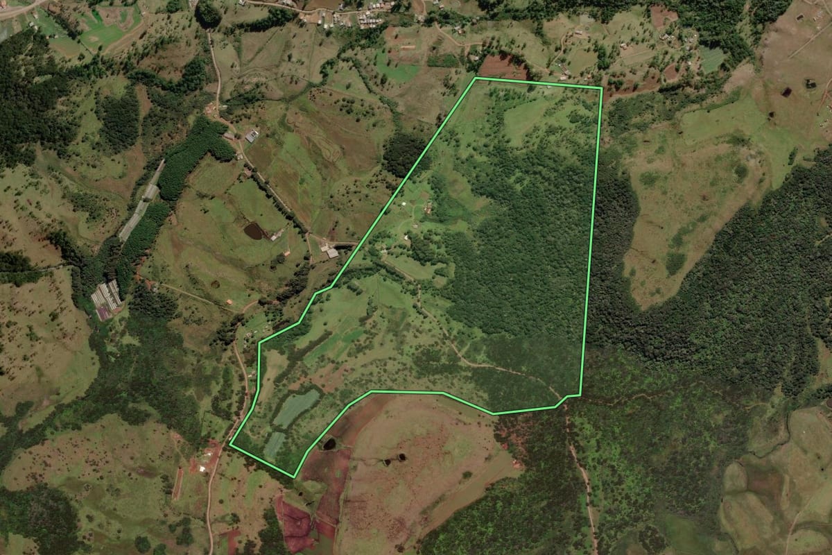 Imagem de satélite do imóvel rural em Urupema (SC), com o contorno declarado no CAR desenhado por cima.