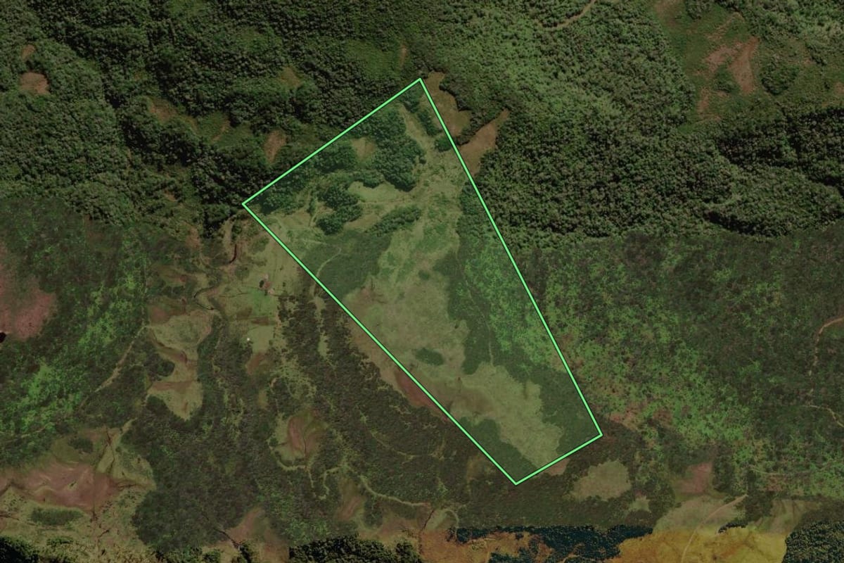 Imagem de satélite do imóvel rural em Urupema (SC), com o contorno declarado no CAR desenhado por cima.