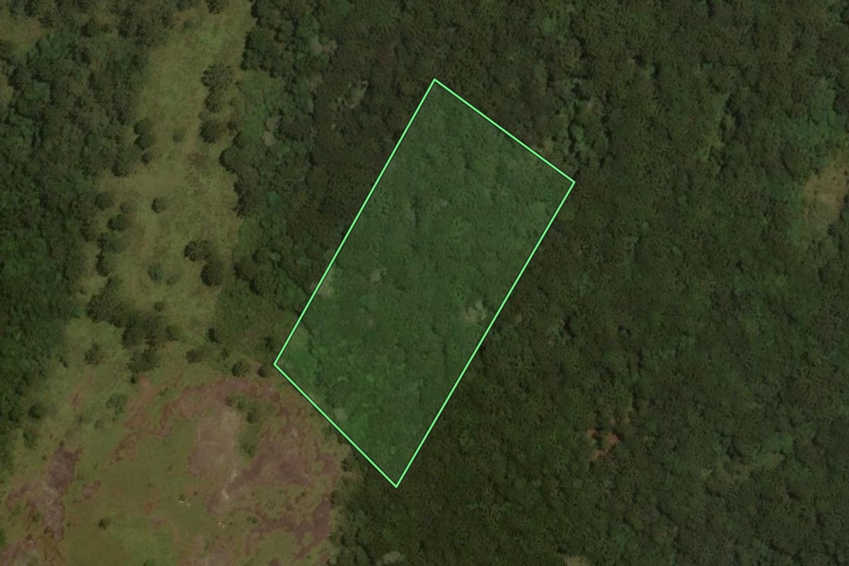 Imagem de satélite do imóvel rural em Urupema (SC), com o contorno declarado no CAR desenhado por cima.