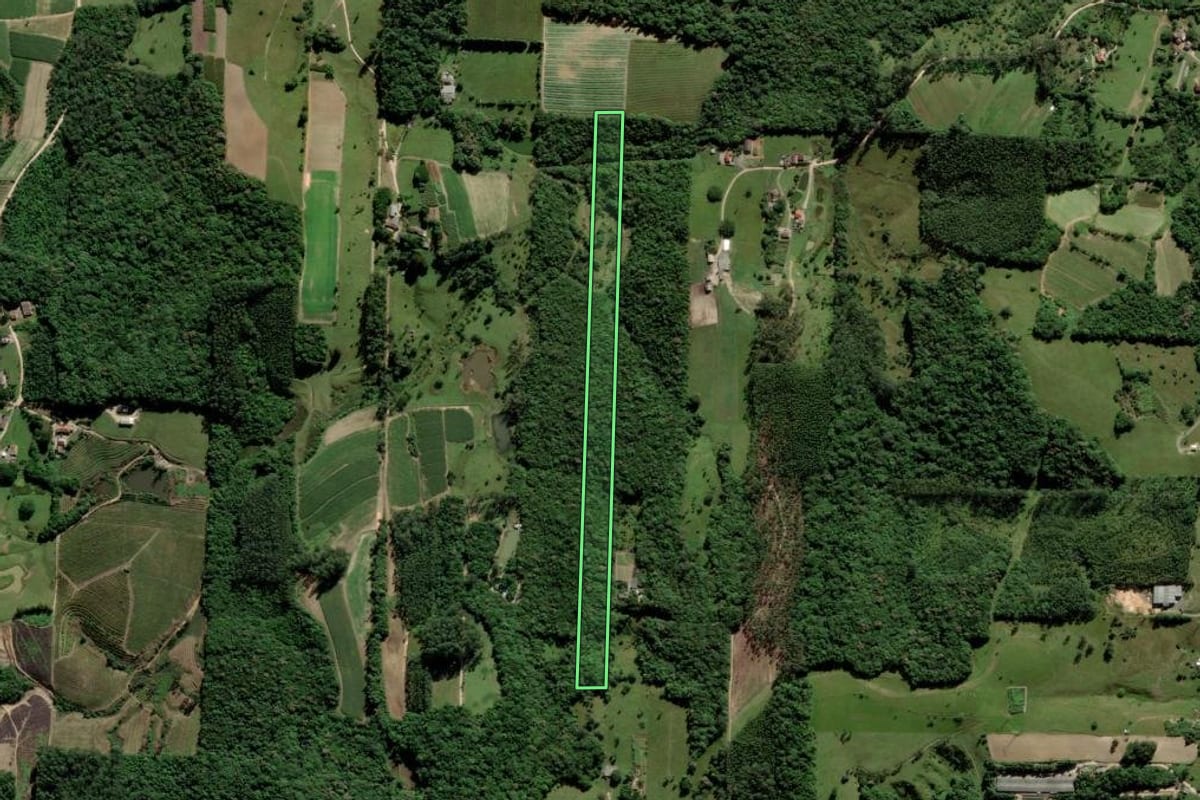 Imagem de satélite do imóvel rural em Urussanga (SC), com o contorno declarado no CAR desenhado por cima.