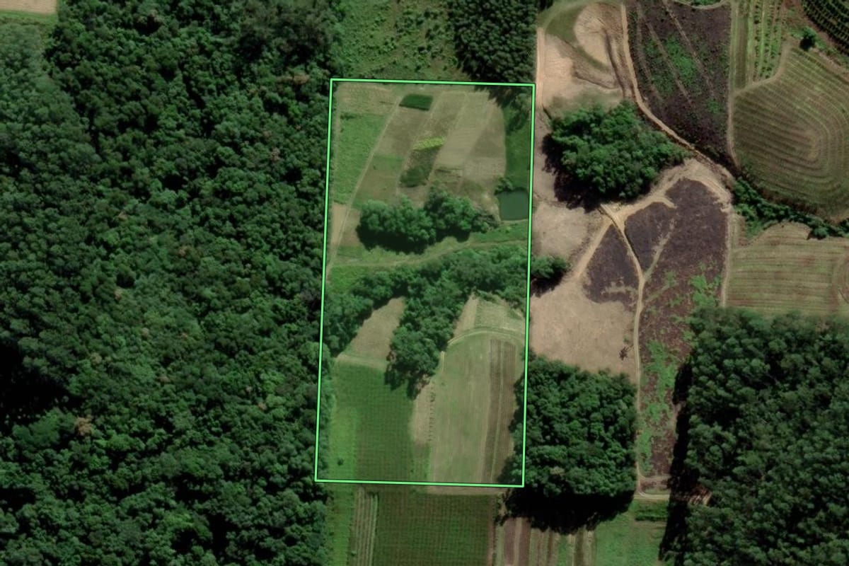 Imagem de satélite do imóvel rural em Urussanga (SC), com o contorno declarado no CAR desenhado por cima.