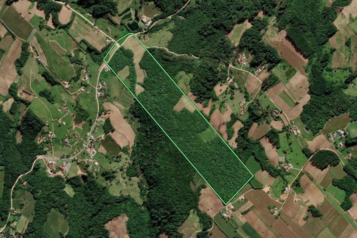 Imagem de satélite do imóvel rural em Urussanga (SC), com o contorno declarado no CAR desenhado por cima.