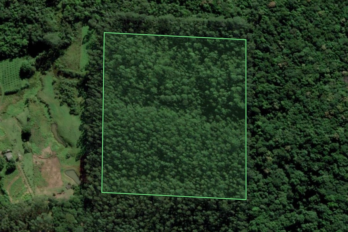 Imagem de satélite do imóvel rural em Urussanga (SC), com o contorno declarado no CAR desenhado por cima.
