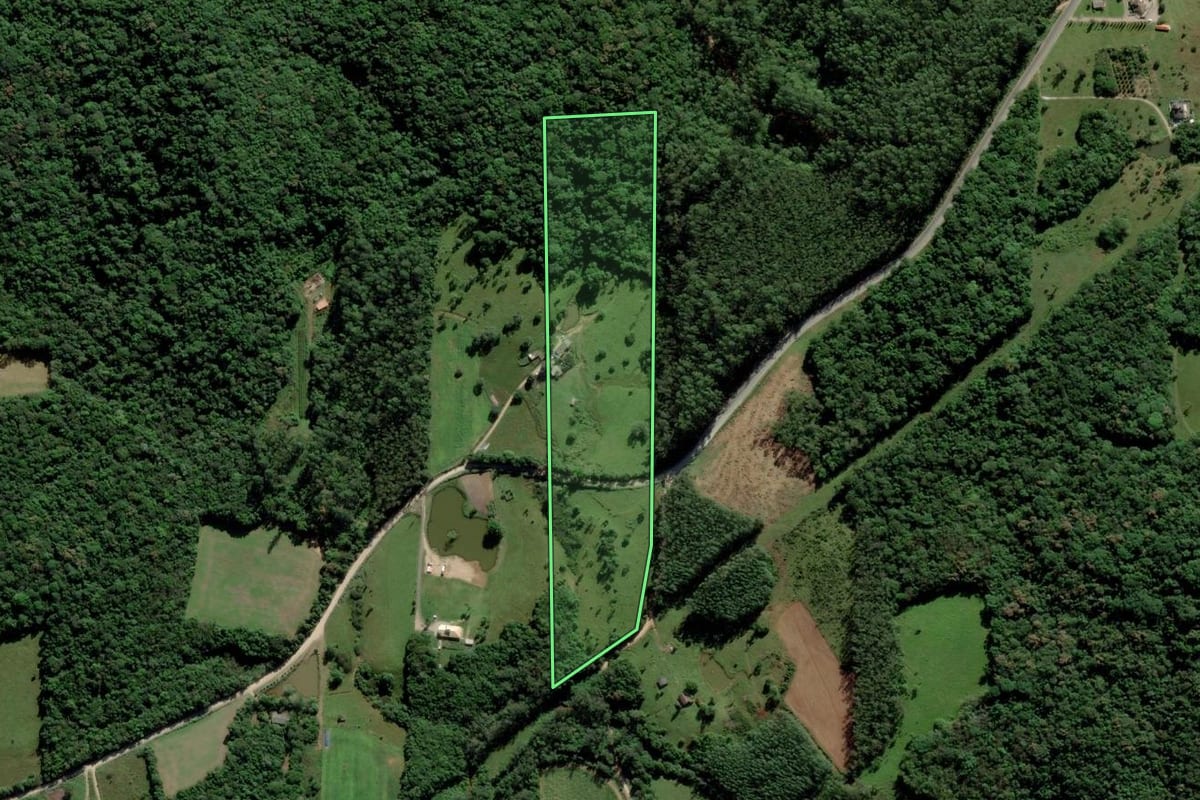 Imagem de satélite do imóvel rural em Urussanga (SC), com o contorno declarado no CAR desenhado por cima.