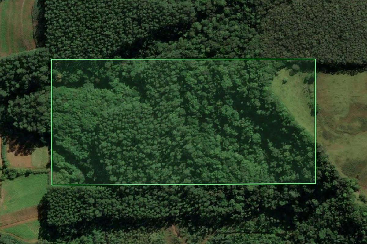 Imagem de satélite do imóvel rural em Urussanga (SC), com o contorno declarado no CAR desenhado por cima.