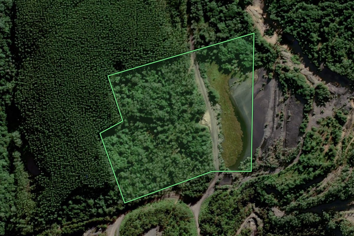 Imagem de satélite do imóvel rural em Urussanga (SC), com o contorno declarado no CAR desenhado por cima.