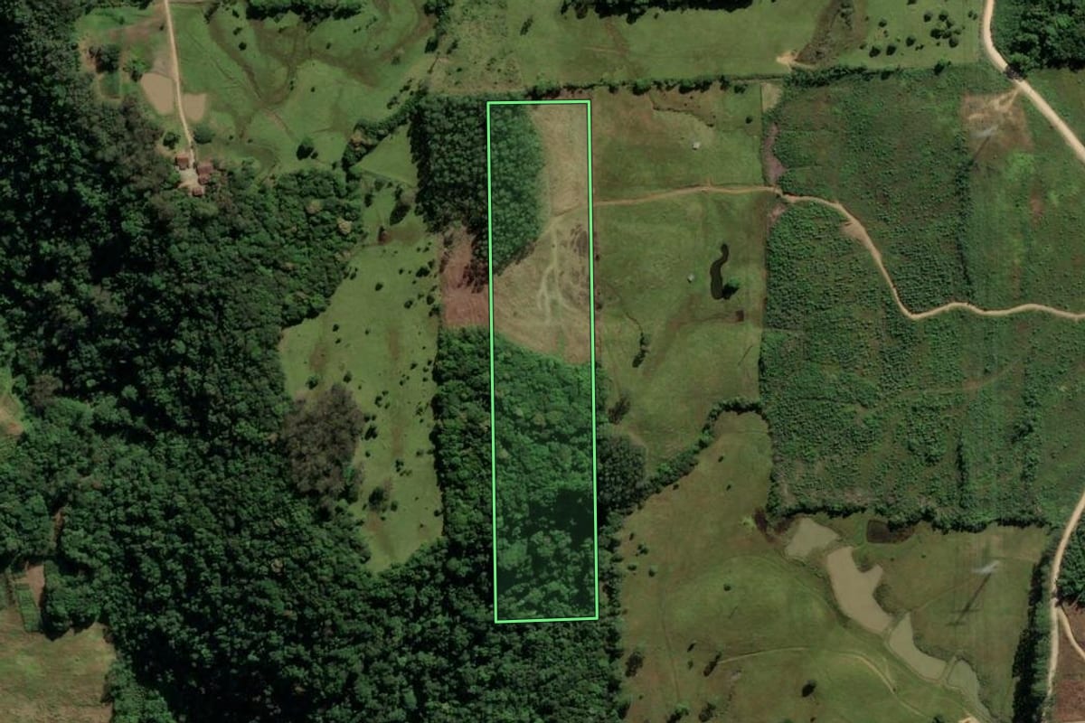 Imagem de satélite do imóvel rural em Urussanga (SC), com o contorno declarado no CAR desenhado por cima.