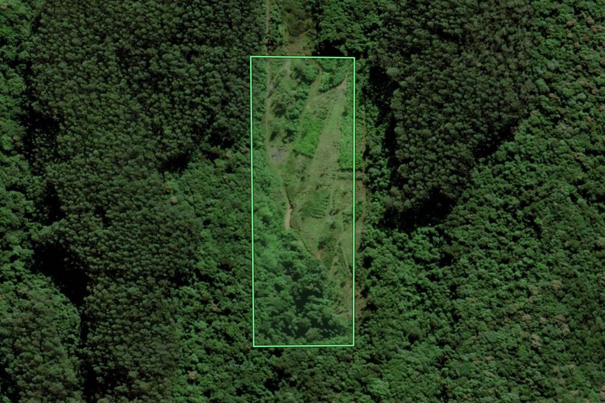 Imagem de satélite do imóvel rural em Urussanga (SC), com o contorno declarado no CAR desenhado por cima.