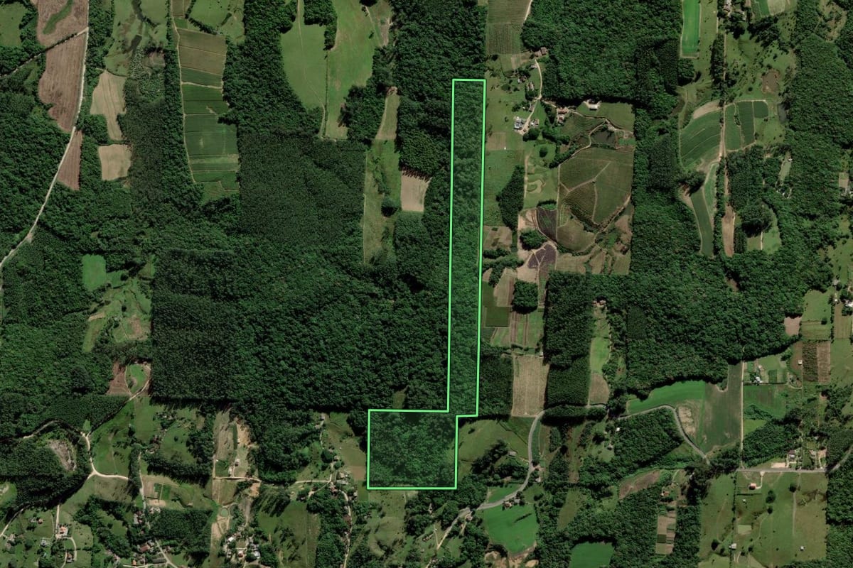 Imagem de satélite do imóvel rural em Urussanga (SC), com o contorno declarado no CAR desenhado por cima.