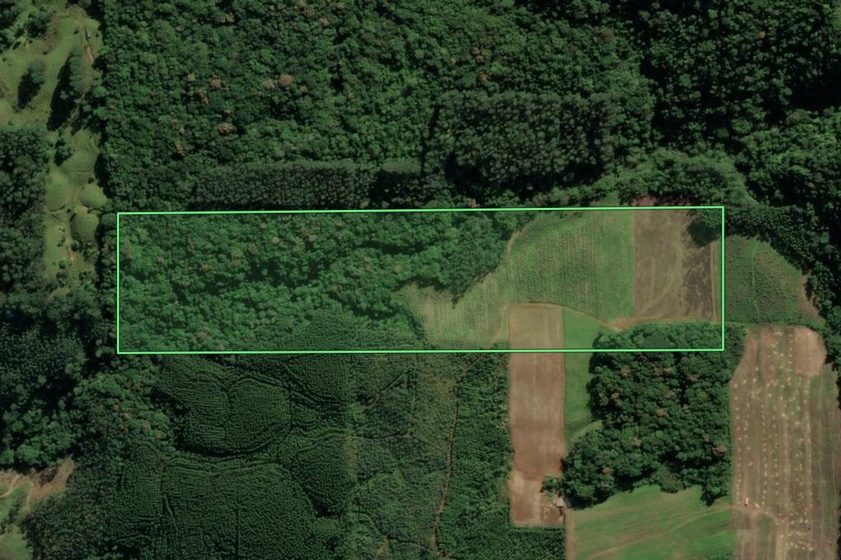 Imagem de satélite do imóvel rural em Urussanga (SC), com o contorno declarado no CAR desenhado por cima.