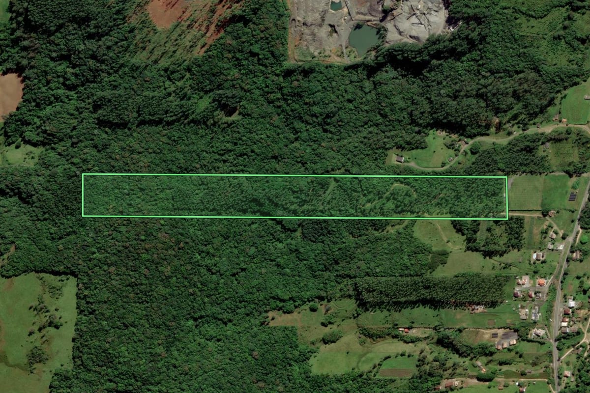 Imagem de satélite do imóvel rural em Urussanga (SC), com o contorno declarado no CAR desenhado por cima.