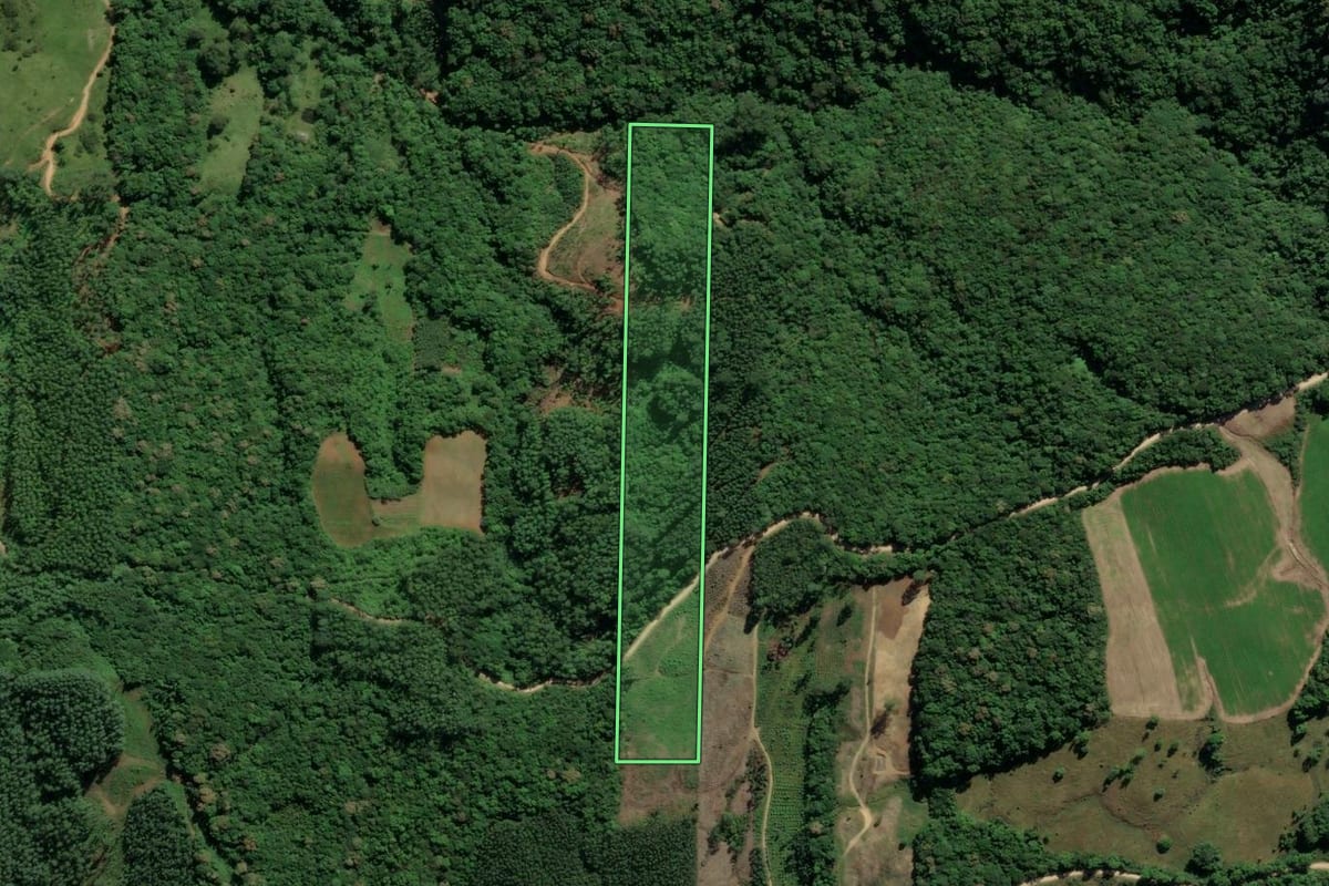 Imagem de satélite do imóvel rural em Urussanga (SC), com o contorno declarado no CAR desenhado por cima.